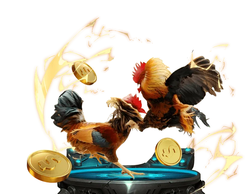 Tài liệu pháp lý minh bạch Suwin